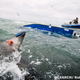 Illustration for article titled Bourbon Tags Along with Shark Researchers for Faster Aging